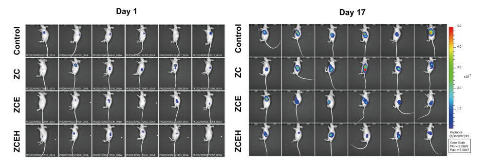 九游网页版入口-关于法兰克福发布备战花絮；赛后手感冰凉；意大利杯任务艰巨；团队化学反应显著的信息